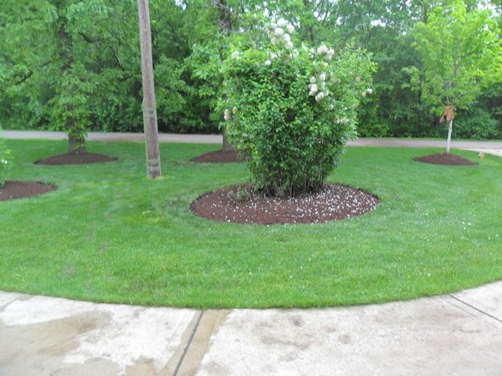 554519_369104999870980_1082318086_n