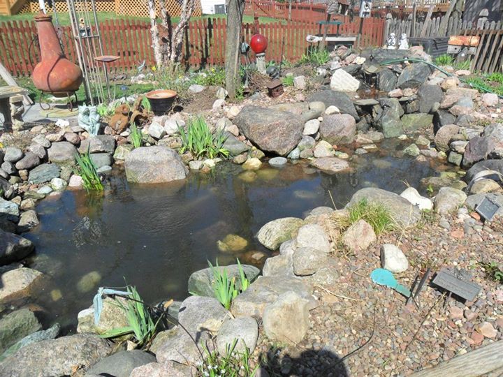 562916_369101449871335_414049388_n