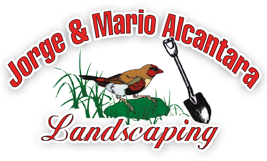 Jorge And Mario Landscaping